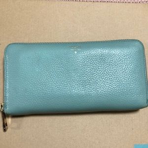Aqua Fossil Wallet